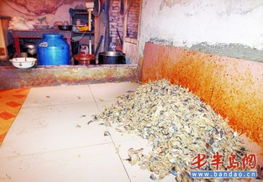 作坊非法加工下腳料炸魚(yú) 從采購(gòu)到銷(xiāo)售全鏈條風(fēng)險(xiǎn)警覺(jué)